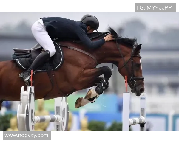 全运会马术赛事初次在赛场建立马医院，赛马会供给专业援助-br-